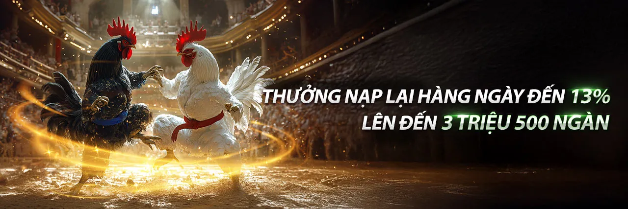 Sân vận động thể thao sôi động với logo nk888 nhà cái và các giải đấu lớn